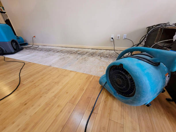 Reliable Flood Damage Restoration contractor in Belleville, MI by Hirex Water Damage