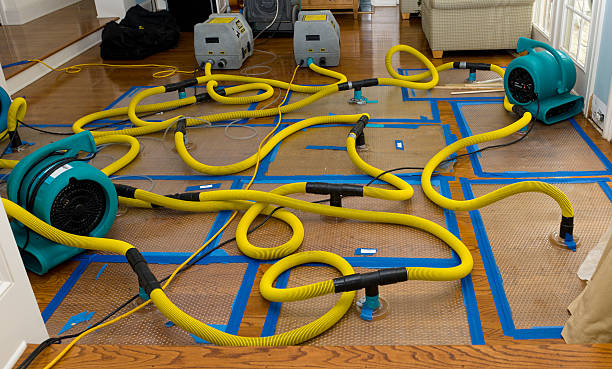 Professional Flood Damage Restoration technician working in Belleville, MI