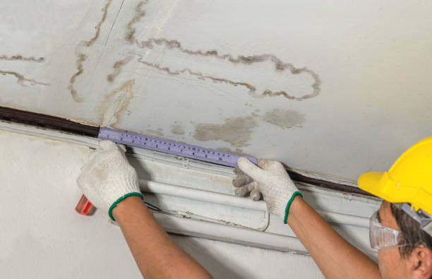 Affordable Water Damage Repair solutions in Belleville, MI
